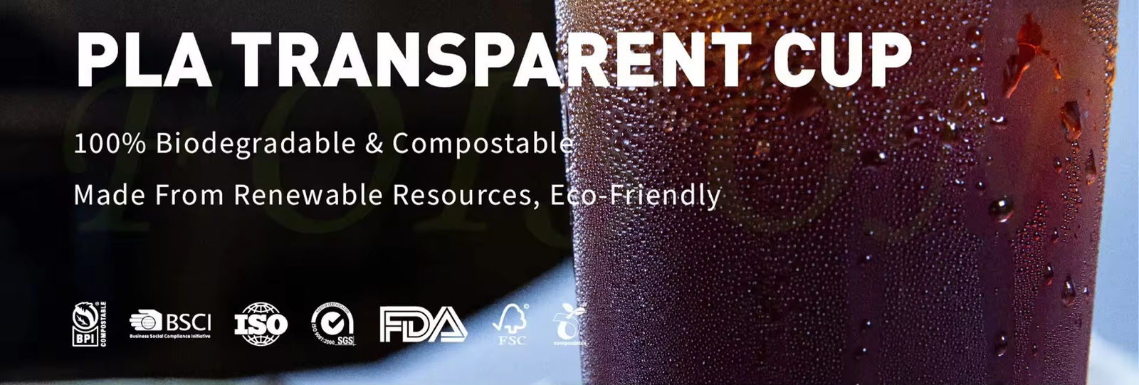 Disposable Biodegradable Cups